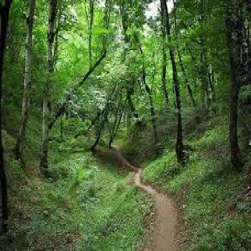 دیجی سجاد یه مشت سرباز